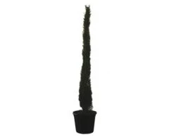 FLORASELF Cypres Cupressus Sempervirens 'Totem' Potmaat Ø 30 Liter H 200-225 Cm