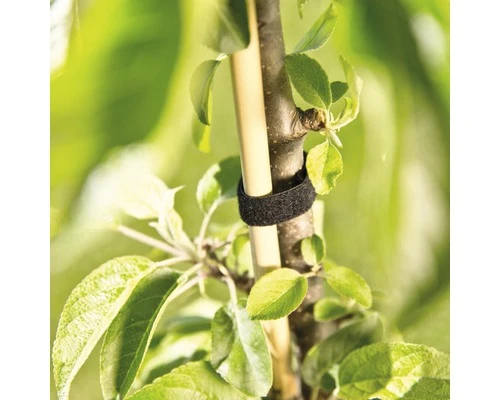 FLORASELF Plantenbinder Klittenband 12 Mm X 5 M - Afbeelding 2