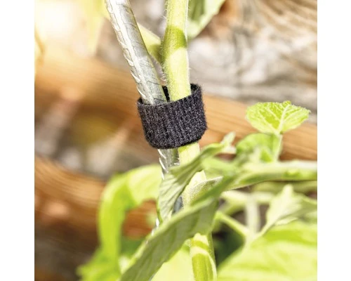 FLORASELF Plantenbinder Klittenband 12 Mm X 5 M - Afbeelding 3