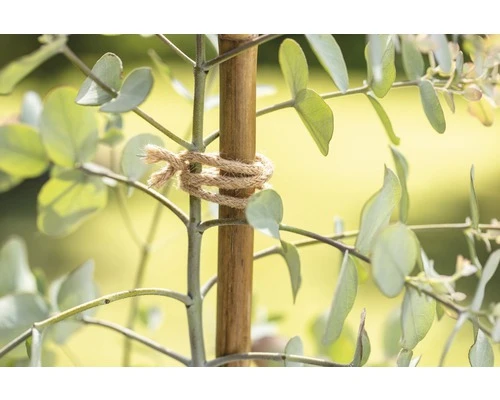 FLORASELF NATURE Jute Bindraad 10 M - Afbeelding 3