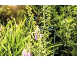 FLORASELF Plantenhouder Groen Ø 7 Cm H 60 Cm