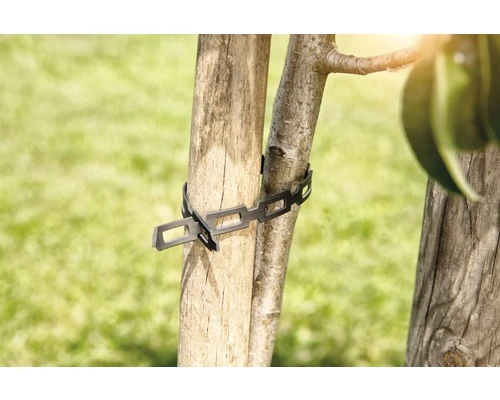 FLORASELF Plantenbinder Kunststof Zwart 5 M - Afbeelding 3