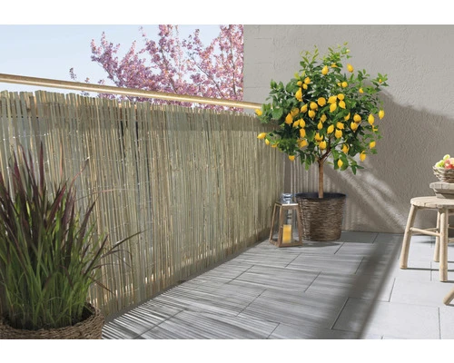 KONSTA Bamboemat Op Rol Crème 3 M X 90 Cm - Afbeelding 2