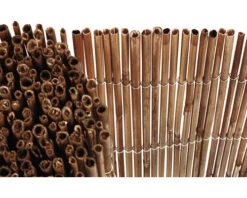 KONSTA Rietenmat Gehard Crème, 3 M X 100 Cm