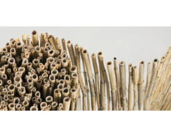 Rietenmat Op Rol, 6 M X 160 Cm