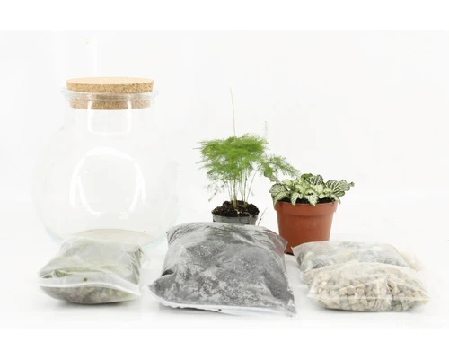 Plantenterrarium DIY Set Rond Medium