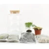Plantenterrarium DIY Set Bubbel Medium