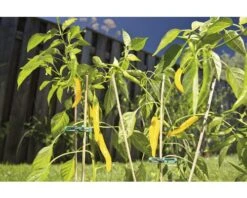 FLORASELF Bamboesplitstok 4mm 30cm 10st