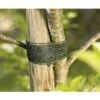FLORASELF® Bindstrip Voor Bomen 3 M Groen