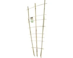 FLORASELF® Bamboe Klimrek 60cm
