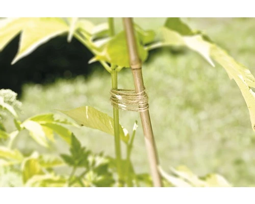 FLORASELF® Touw Jute 250m - Afbeelding 2