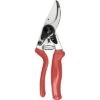 FELCO Snoeischaar Felco 10